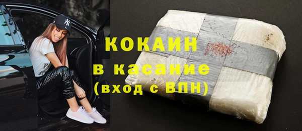 индика Верея
