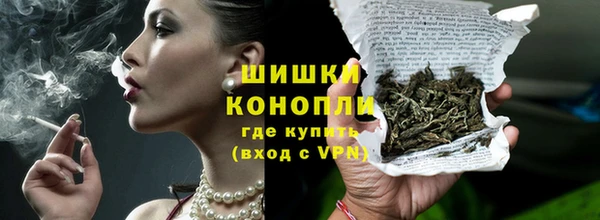 индика Верея