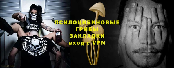 PSILOCYBIN Верхний Тагил