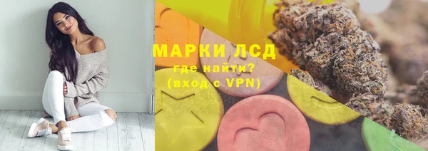 PSILOCYBIN Верхний Тагил