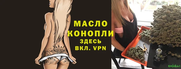 индика Верея