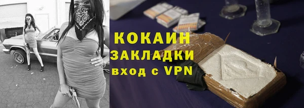 индика Верея
