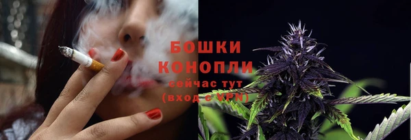 индика Верея