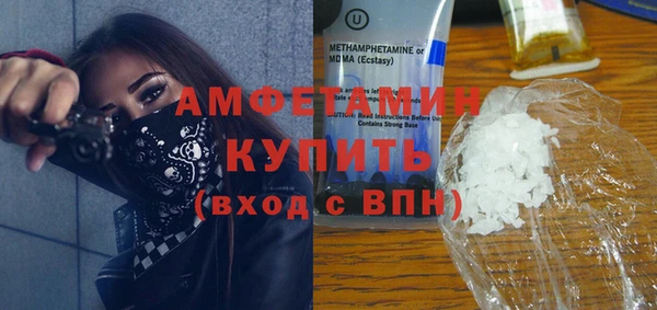 индика Верея