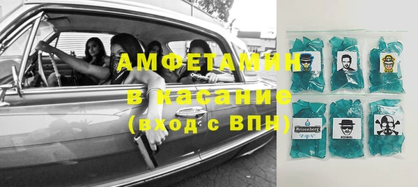 индика Верея
