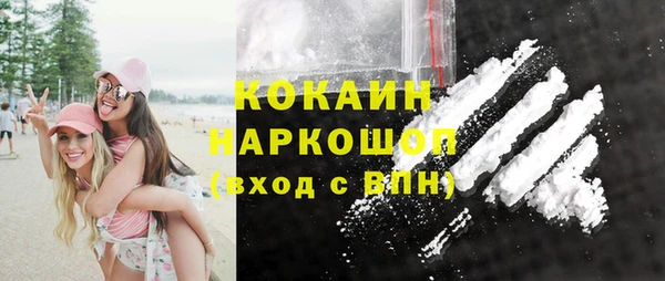 индика Верея
