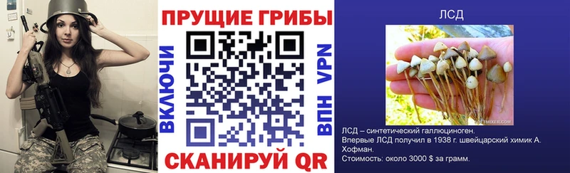 гидра онион  купить закладку  Крым  Галлюциногенные грибы прущие грибы 